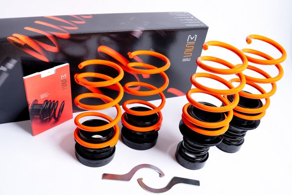 MSS Suspension 2018 BMW X3  Coil Spring Lowering Kit 05aBMWX34SU