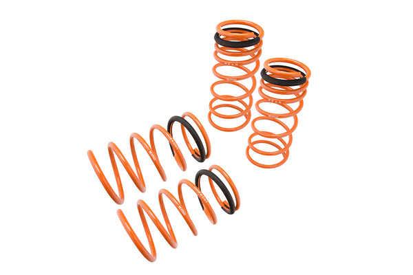 Megan Racing Lowering Springs for 2002-2003 Mazda PROTEGE5 - MR-LS-MP01 - (2003 2002)